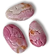 manapiare seed