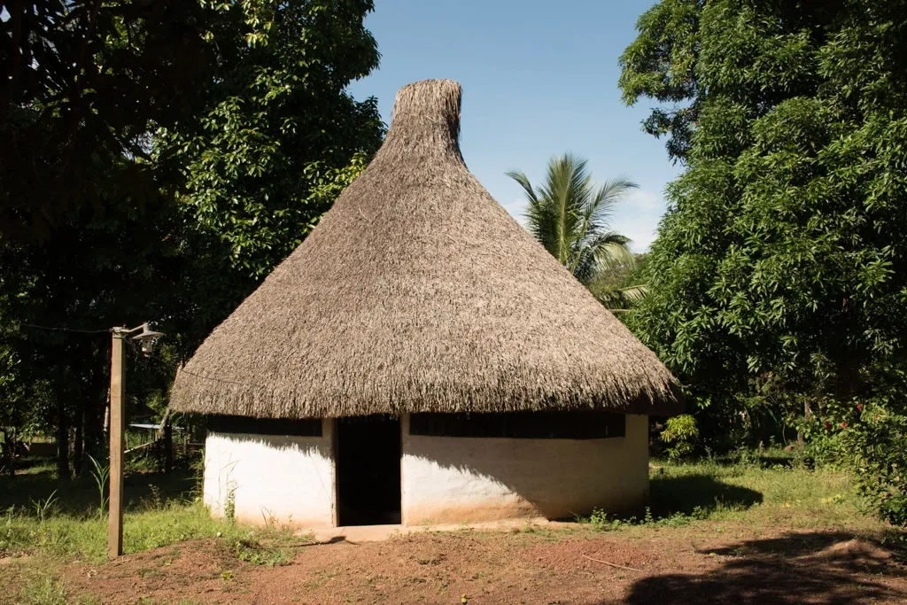 Manapiare history