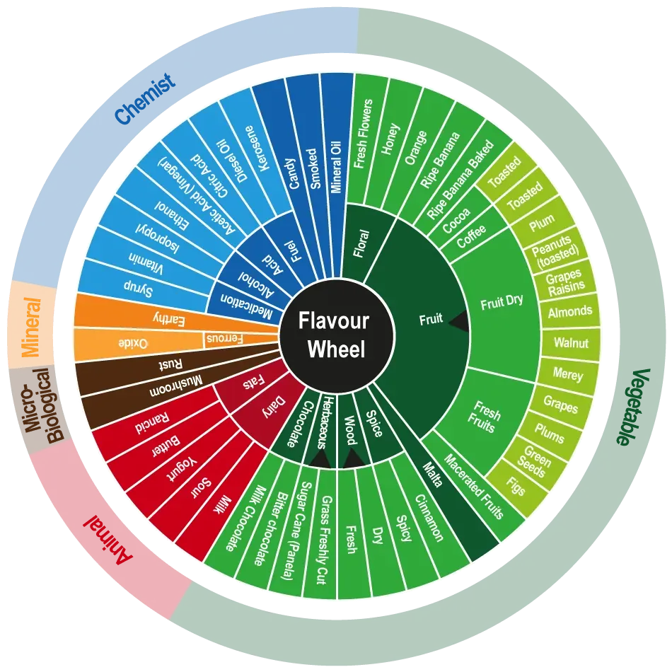 Cocoa Flavor Wheel